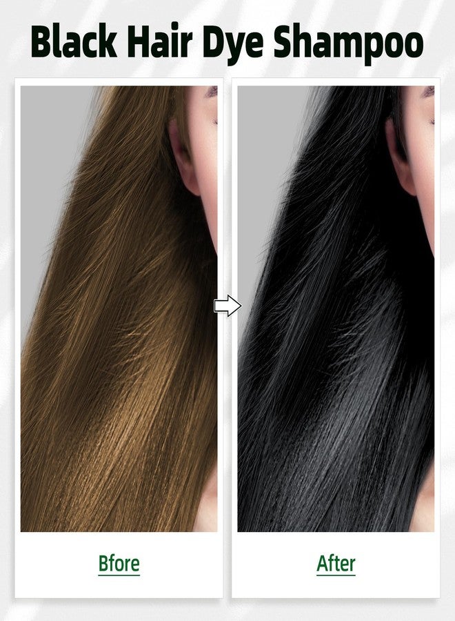 MOISTAR Black Hair Dye Shampoo 3 in 1 for Gray Coverag Color Shampoo for Women/Men Instant Herbal Semi Permanent champu para canas - Image 2